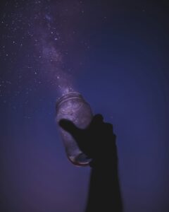 javardh 2q6c5zdjosg unsplash