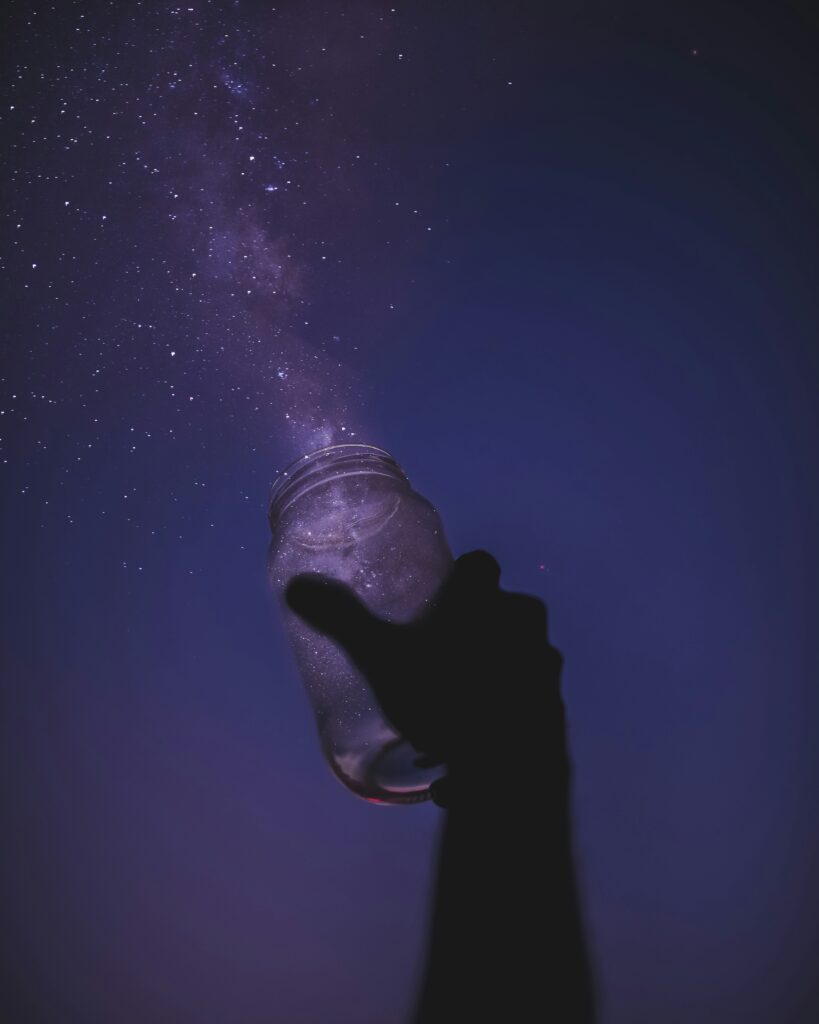 javardh 2q6c5zdjosg unsplash